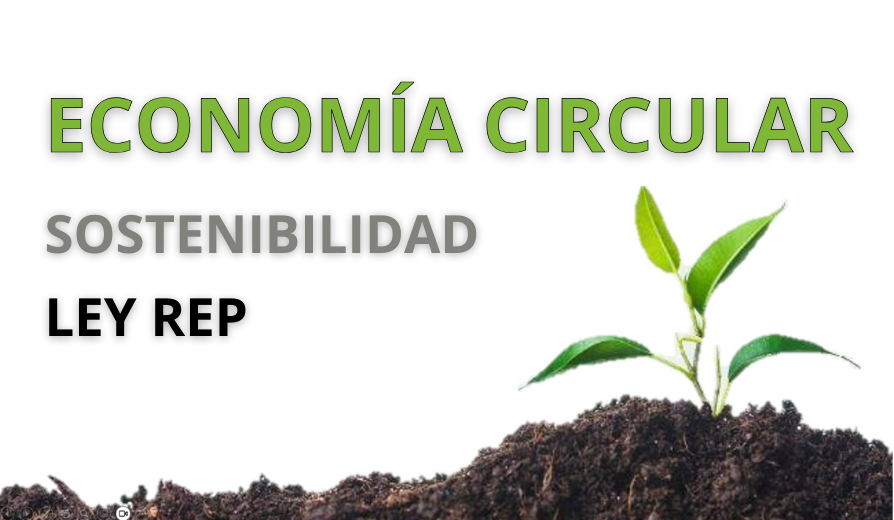 ECONOMÍA CIRCULAR